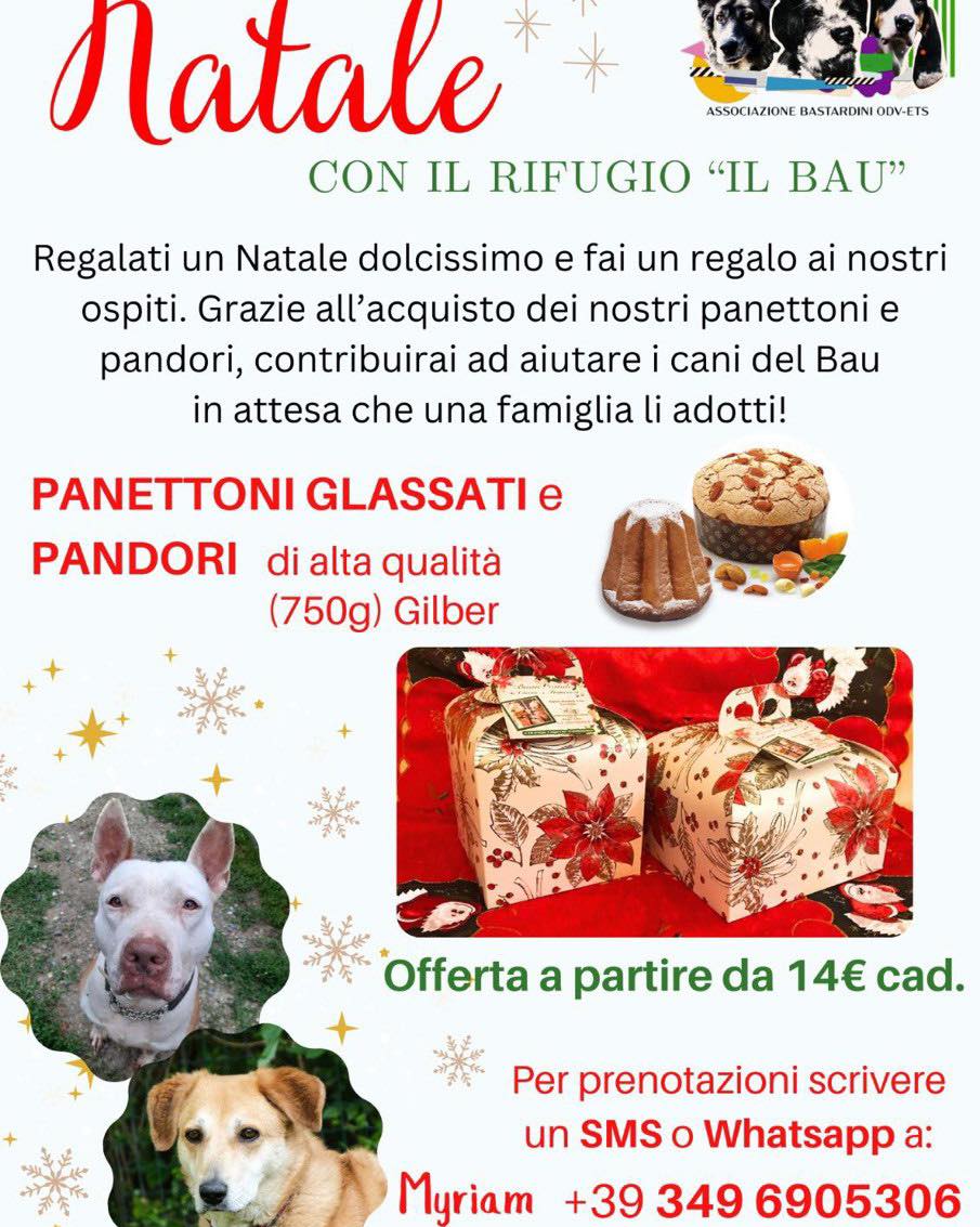 panettone